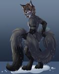  anthro canine fur hair looking_at_viewer male mammal nude pangurban91 smile solo standing wet 