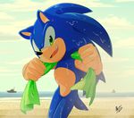  2016 clothing fur gloves hedgehog male mammal myly14 solo sonic_(series) sonic_the_hedgehog summer 