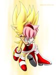  2013 amy_rose clothing female fur hedgehog male mammal myly14 sonic_(series) sonic_the_hedgehog super_sonic 