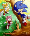  2013 amy_rose canine clothing female fox fur gloves hedgehog male mammal miles_prower myly14 sonic_(series) sonic_the_hedgehog summer 