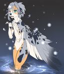  5_fingers anthro canine dog feathered_wings feathers fur girly grey_fur grey_hair hair hybrid male mammal nude partially_submerged rikitoka solo standing water white_fur wings 