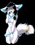  5_fingers anthro black_background black_hair black_nose blue_areola canine female fluffy fluffy_tail fox fur hair mammal navel nipples nude rikitoka simple_background smile solo white_fur 