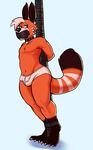  anthro bound briefs brown_fur clothing collar fur gag gagged hands_behind_back hicanyoumooforme male mammal navel orange_fur red_panda simple_background solo standing underwear white_fur 