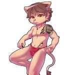  anthro brown_eyes brown_fur brown_hair bulge catmuti clothing cub feline fundoshi fur hair japanese_clothing lion male mammal solo tattoo teenager underwear young 