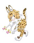  :&gt; animal_ears animal_print ankle_boots arm_at_side bare_shoulders belt black_ribbon blush_stickers boots bow bowtie brown_belt clenched_hand closed_mouth cross-laced_clothes crossover dot_nose elbow_gloves full_body gloves hand_up high-waist_skirt highres jpeg_artifacts kemono_friends komotodaemai kyubey light_brown_eyes looking_at_viewer mahou_shoujo_madoka_magica mouth_hold orange_hair paw_pose print_bow print_gloves print_legwear print_neckwear print_skirt ribbon serval_(kemono_friends) serval_ears serval_print serval_tail shirt shoe_ribbon short_hair simple_background sketch skirt sleeveless sleeveless_shirt striped_tail tail tareme thighhighs walking white_background white_footwear white_shirt zettai_ryouiki 