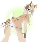  anthro ariyah bent_over blue_eyes breasts clothed clothing feline female flashing fur gradient_background hair hi_res looking_back lynx mammal niis pink_nose pussy rear_view short_tail simple_background solo spots spotted_fur tan_fur topless white_background 