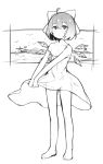  1girl absurdres ahoge alternate_costume bare_arms bare_legs bare_shoulders barefoot bow cirno collarbone dress dress_lift expressionless flat_chest full_body greyscale hair_bow highres ice ice_wings lifted_by_self looking_at_viewer monochrome no_panties palm_tree see-through short_hair sketch solo spaghetti_strap standing strap_slip sundress sunege_(hp0715) touhou tree wings 