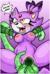  blaze_the_cat purity sonic_team tagme 