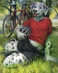  anthro bicycle canine clothed clothing dalmatian dog looking_at_viewer male mammal outside smile solo tacklebox tongue tongue_out 