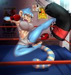  5_toes action_pose anthro bangs bare_shoulders big_breasts blue_fur blue_hair blue_stripes blue_tail blush bouncing_breasts boxing_gloves breasts chain clothing countershade_face countershade_torso countershading crop_top depth_of_field detailed_background digital_media_(artwork) ear_piercing eyelashes fangs feet female fighting_ring flying_sweatdrops full-length_portrait fur hair hair_between_eyes human humanoid_feet inside jumping kick lemur2003_(artist) lips looking_away mammal marmoset midriff monkey motion_lines multicolored_hair navel nipple_bulge piercing pink_nose pink_tongue portrait pose poster primate punching_bag ribbons shadow shiny shirt short_hair shorts simi solo sport star striped_fur striped_tail stripes sweat sweatdrop tan_belly tan_countershading tan_fur tan_hair tan_stripes tan_tail tank_top teeth toes tongue two_tone_hair yellow_eyes 