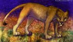  bigcat cat digital_media_(artwork) digitalart feline female feral fur fuzzymaro invalid_tag lion mammal painting 