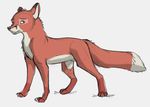  2015 black_nose canine digital_media_(artwork) dipstick_tail feral fox fur green_eyes guide_lines looking_back male mammal markings multicolored_fur multicolored_tail simple_background sketch socks_(marking) solo tuke two_tone_tail white_background 