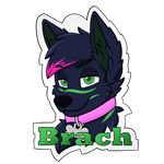  brach_(character) canine collar dog_tags hair male mammal neon snootbooper wolf 