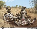  aardwolf african_wild_dog animal_genitalia anthro balls canine digitigrade female hyena knot male male/female mammal on_top paws reverse_cowgirl_position salonkitty savanna sex taur 