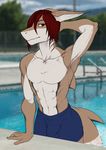  anthro autumm_airwave bulge clothed clothing fish looking_at_viewer male marine muscular outside shark solo swimming_pool topless 