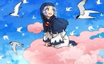  :d bird blue_eyes blue_hair blue_sky day flying hood hood_up kumoi_ichirin looking_to_the_side meimaru_inuchiyo open_mouth orb pink_cloud sky smile tern touhou white_robe wide_sleeves 