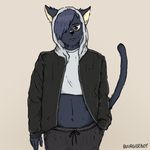  2017 anthro buurgerboy cat celeste_(buurgerboy) clothed clothing crop_top ear_piercing feline hair hair_over_eye hand_in_pocket male mammal midriff navel piercing rosy_cheeks shirt signature simple_background solo 
