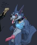  2017 anthro balls canine clothing digital_media_(artwork) erection fur league_of_legends male male/male mammal mej nude open_mouth penis riot_games simple_background smile teeth tongue video_games warwick wolf 