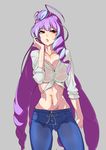  ass_visible_through_thighs blue_hair breasts cleavage denim don_(rg06268) drill_hair grey_background highres jeans large_breasts long_hair macross macross_delta midriff mikumo_guynemer navel open_mouth pants purple_hair red_eyes shirt simple_background solo sweat tied_shirt very_long_hair wet wet_clothes 
