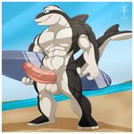  2017 aaron_(artist) abs anthro balls beach biceps big_balls big_muscles big_penis blue_eyes border cetacean dolphin erection hi_res huge_balls huge_penis kai_wheatley male mammal marine muscular nude partially_retracted_foreskin pecs penis pepsi_(fa) sea seaside sky solo standing stripper surfboard surfer thick_penis uncut vein water white_border 