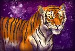  cat digital_media_(artwork) feline feral fuzzymaro mammal realistic stripes tiger 