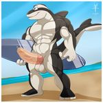  2017 aaron_(artist) abs anthro balls beach biceps big_balls big_muscles big_penis blue_eyes border cetacean condom dolphin erection hi_res huge_balls huge_penis kai_wheatley male mammal marine muscular nude partially_retracted_foreskin pecs penis pepsi_(fa) sea seaside sky solo standing stripper surfboard surfer thick_penis uncut vein water white_border 