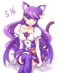  animal_ears cat_ears cat_tail chocokin choker closed_mouth collarbone cropped_legs crossed_legs cure_macaron earrings elbow_gloves extra_ears food_themed_hair_ornament gloves hair_ornament jewelry kirakira_precure_a_la_mode kotozume_yukari layered_skirt long_hair looking_at_viewer macaron_hair_ornament magical_girl precure puffy_sleeves purple_choker purple_eyes purple_hair purple_legwear ribbon_choker sitting smile solo tail thighhighs white_background white_gloves zettai_ryouiki 