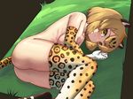  animal_ears ass blonde_hair blush breasts commentary elbow_gloves flat_ass gloves grass iwahana jaguar_(kemono_friends) jaguar_ears jaguar_print jaguar_tail kemono_friends large_breasts looking_at_viewer lying multicolored multicolored_clothes multicolored_hair multicolored_legwear nude on_side short_hair smile solo tail thighhighs 