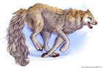  abstract_background ambiguous_gender canine digital_media_(artwork) feral fur fuzzymaro green_eyes mammal multicolored_fur tan_fur two_tone_fur wolf 