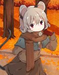  adapted_costume akagashi_hagane alternate_costume animal animal_ears capelet gloves grey_hair jewelry light_particles long_sleeves looking_at_viewer mouse mouse_ears mouse_tail nature nazrin necklace red_eyes red_gloves scarf short_hair skirt smile solo sweater_vest tail touhou tree 