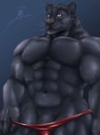  abs anthro blue_background clothing colored feline male mammal mohumohuotou muscular panther pecs penis simple_background solo speedo swimsuit teasing undressing 