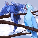  2017 animal_genitalia animal_penis avian beak bird blu_(rio) blue_feathers feathers female feral hyper hyper_penis invalid_color jewel_(rio) male male/female parrot penis purenova rio wings 