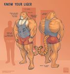  2017 anthro areola big_bulge blue_eyes bulge butt clothing comparison feline human hybrid hyper hyper_muscles larger_male liger lion mainlion male mammal markings muscular muscular_back muscular_male nipples pecs shirt shorts simple_background size_difference smaller_male tank_top thick_thighs tiger vein watch 