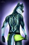  2017 5_fingers absurd_res anthro biting_lip black_nose blue_fur canine cinta clothing dog eyebrows fur glowing grey_fur hi_res looking_at_viewer looking_back malamute male mammal markings multicolored_fur simple_background solo underwear white_fur yellow_eyes 