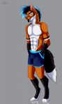  abs anthro black_fur black_hair black_nose blue_hair canine cinta clothing eyebrows fluffy fluffy_tail fox fur gloves_(marking) green_eyes grey_background hair hands_in_pockets looking_at_viewer male mammal markings multicolored_hair muscular piercing red_fur sharp_teeth shorts simple_background socks_(marking) solo standing stripes teeth white_fur 