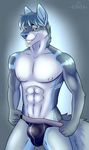  2017 5_fingers abs anthro argent_(fahleir) blue_eyes blue_hair blue_nose bulge canine cinta clothing fahleir fur grey_fur hair looking_at_viewer male mammal multicolored_fur muscular nails simple_background smile solo standing teasing teeth tight_underwear underwear white_fur wolf 