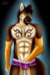  2017 abs absurd_res anthro beard black_hair black_nose brown_fur brown_hair bulge canine cinta clothing dog facial_hair fluffy fluffy_tail fur german_shepherd gloves_(marking) hair hand_in_underwear hi_res looking_at_viewer male mammal markings muscular nipples presenting simple_background smile solo standing tan_fur tattoo teasing underwear yellow_eyes yellow_fur zayne_kingsley 