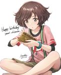  akiyama_yukari barefoot brown_eyes brown_hair brown_shorts casual character_name commentary_request girls_und_panzer ground_vehicle happy_birthday indian_style military military_vehicle model_tank motor_vehicle shamakho short_hair shorts simple_background sitting solo suspenders tank white_background 