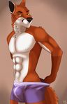  2017 abs anthro black_nose bulge canine cinta clothing eyebrows fox fur hair looking_at_viewer male mammal mulitcolored_fur muscular orange_fur orange_hair orange_sclera smile solo standing teasing tight_underwear underwear white_fur 