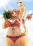  brown_eyes brown_hair furry lion setouchi_kurage swimsuit 