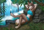  4_toes anthro barefoot black_nose blue_eyes brown_hair canine detailed_background digitigrade female hair jay-kuro long_hair mammal navel smile solo toes water waterfall wolf 
