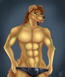  2016 5_fingers abs anthro black_nose brown_hair brown_skin bulge canine cinta clothing dog eyebrows golden_retriever green_eyes hair long_hair male mammal muscular removing_clothing simple_background solo standing tan_skin teasing tight_underwear tongue tongue_out underwear 