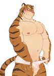  blush clothing colored feline fur looking_at_viewer male mammal manya muscular simple_background solo tiger underwear white_background 
