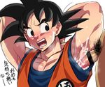  2boys armpit bara black_hair blush cum cum_on_body dragon_ball dragonball_z erection male_focus multiple_boys muscle pecs penis steam sweat yaoi 