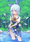  akagashi_hagane blue_dress blue_eyes blue_hair bow cirno day dress flower hair_between_eyes hair_bow ice ice_wings looking_at_viewer morning_glory mouth_hold nature outdoors puffy_short_sleeves puffy_sleeves red_ribbon ribbon short_hair short_sleeves solo sunflower touhou wading water wet wet_clothes wings wringing_clothes 