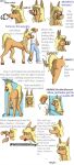  bendzz comic equine female horse human mammal muzzle_(disambiguation) neighing onomatopoeia sound_effects spanking 