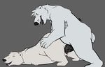  anthro anthro_on_feral armpit_hair bear bestiality big_penis duo female feral fur kumatsu male male/female male_penetrating mammal nude penetration penis polar_bear pussy tongue tongue_out vaginal vaginal_penetration 