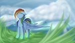  blue_feathers day equine eyes_closed feathers female feral friendship_is_magic grass mammal my_little_pony outside pegasus rainbow_dash_(mlp) sky smile solo standing wings xduskstarx 