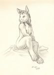  2015 anatomically_correct anatomically_correct_pussy anthro breasts claws cloth female hair lagomorph mammal nipples nude pencil_(artwork) pussy scale_(artist) shaded simple_background sitting smile solo traditional_media_(artwork) 