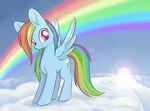  blue_feathers cutie_mark day equine feathered_wings feathers female feral friendship_is_magic hair hooves mammal multicolored_hair my_little_pony pegasus rainbow rainbow_dash_(mlp) rainbow_hair sky smile solo standing sun wings xduskstarx 